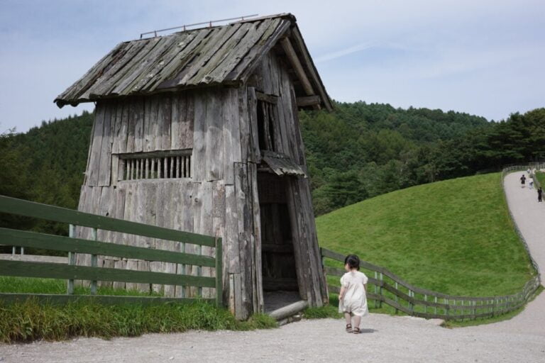 대관령-양떼목장