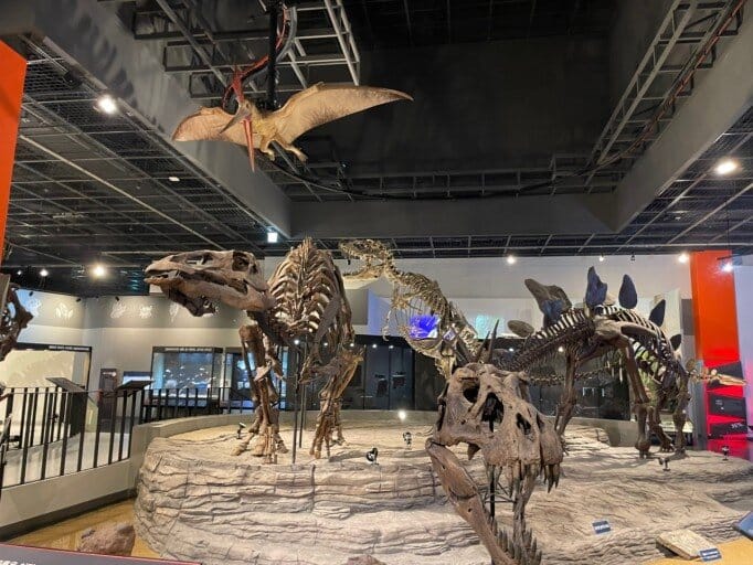 과천-국립과학관