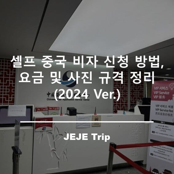 셀프 중국 비자 신청 방법, 요금 및 사진 규격 정리
