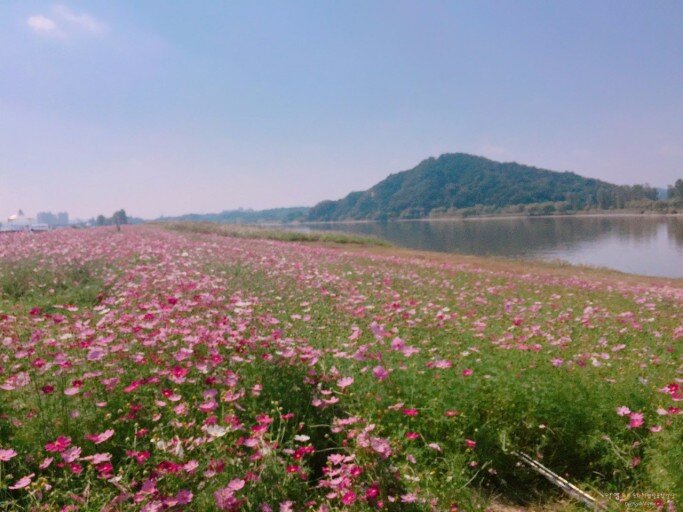 부여 가을여행