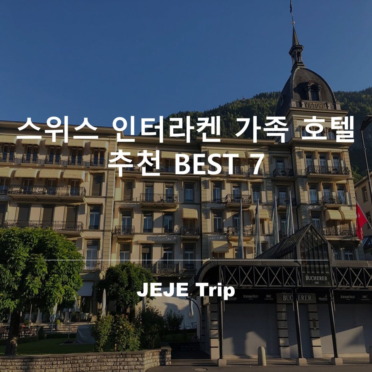 스위스 인터라켄 가족 호텔 추천 BEST 7