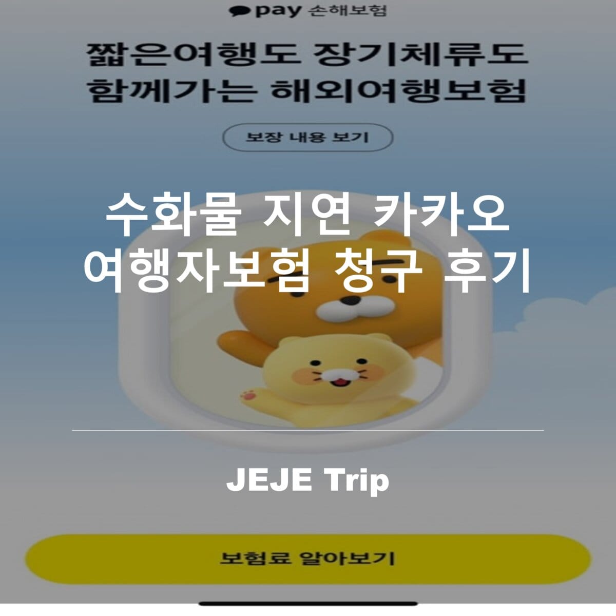 수화물 지연 카카오 여행자보험 청구 후기