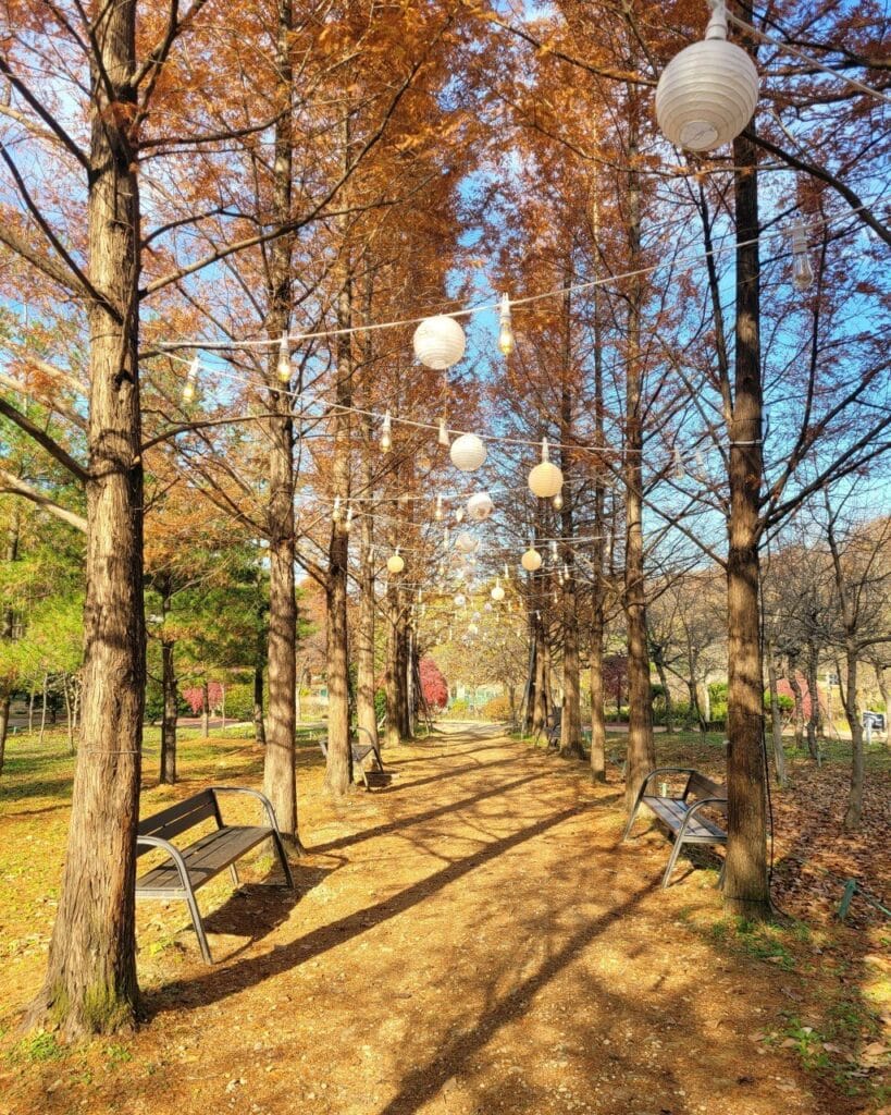경기도 서울 근교 아이와 가볼만한 장소 BEST 7 1 서울 근교 아이와 가볼만한 장소
