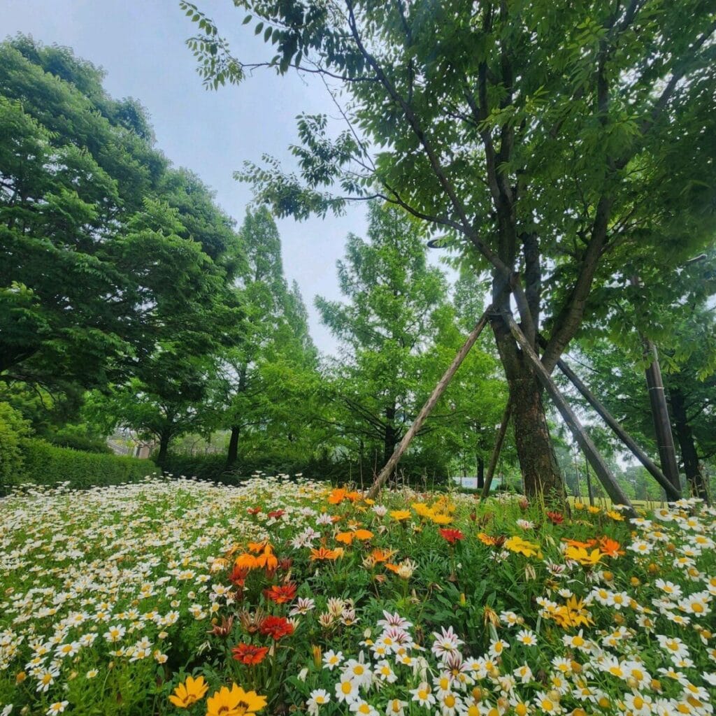 경기도 서울 근교 아이와 가볼만한 장소 BEST 7 2 일산호수공원