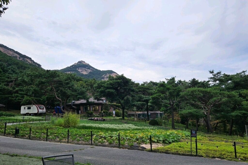경기도 서울 근교 아이와 가볼만한 장소 BEST 7 4 산들소리수목원