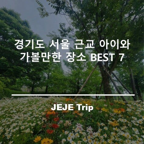경기도 서울 근교 아이와 가볼만한 장소 BEST 7